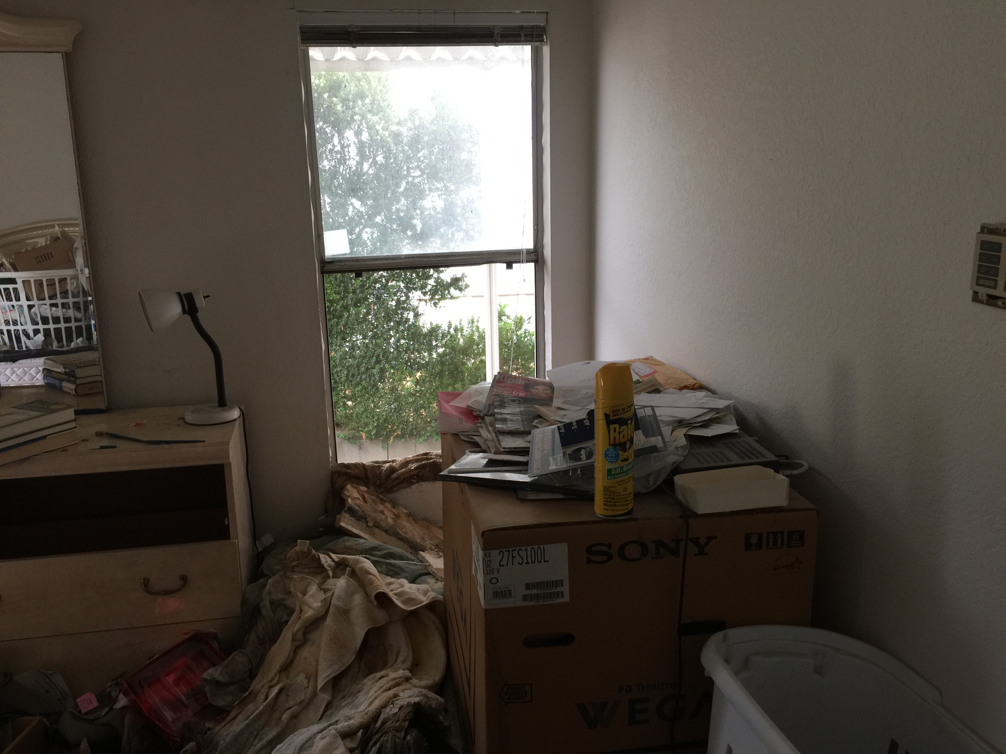 hoarder cleaning studio city